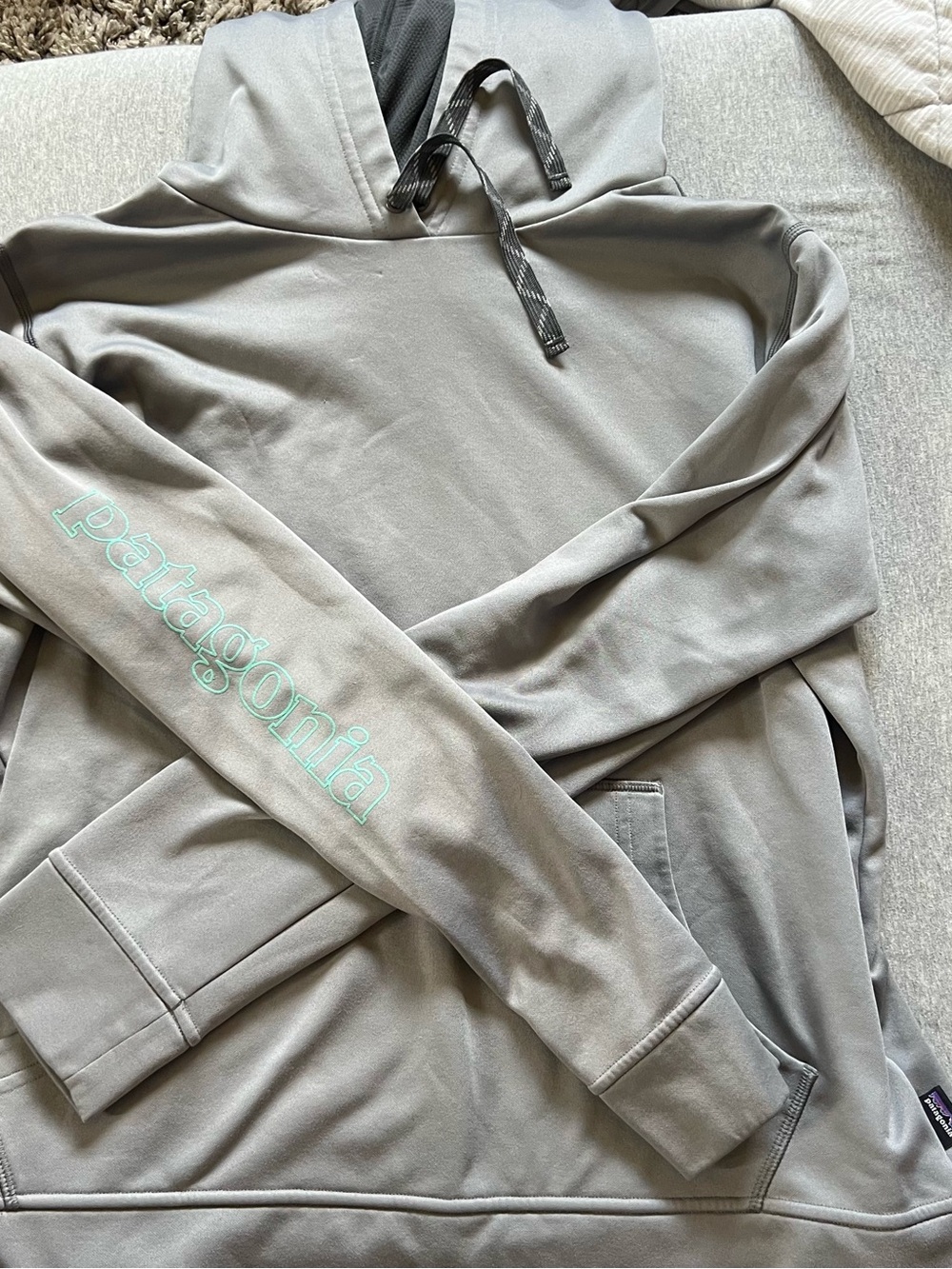 Patagonia Men's Gray Crewneck Hoodie with Mint Logo